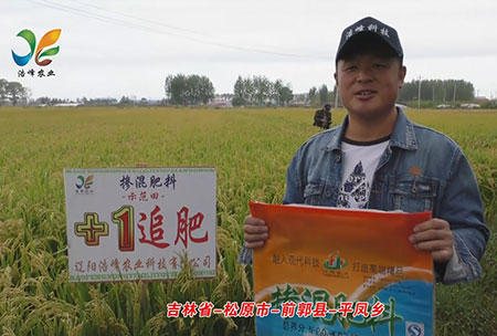 吉林省-松原市-前郭縣-平鳳鄉-用戶回訪視頻