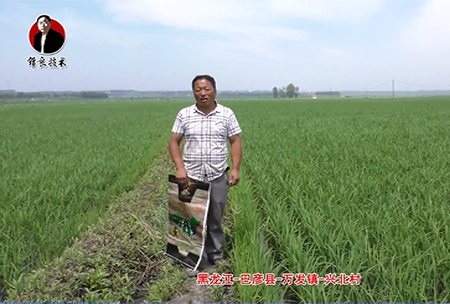 巴彥縣-萬發鎮-興北村